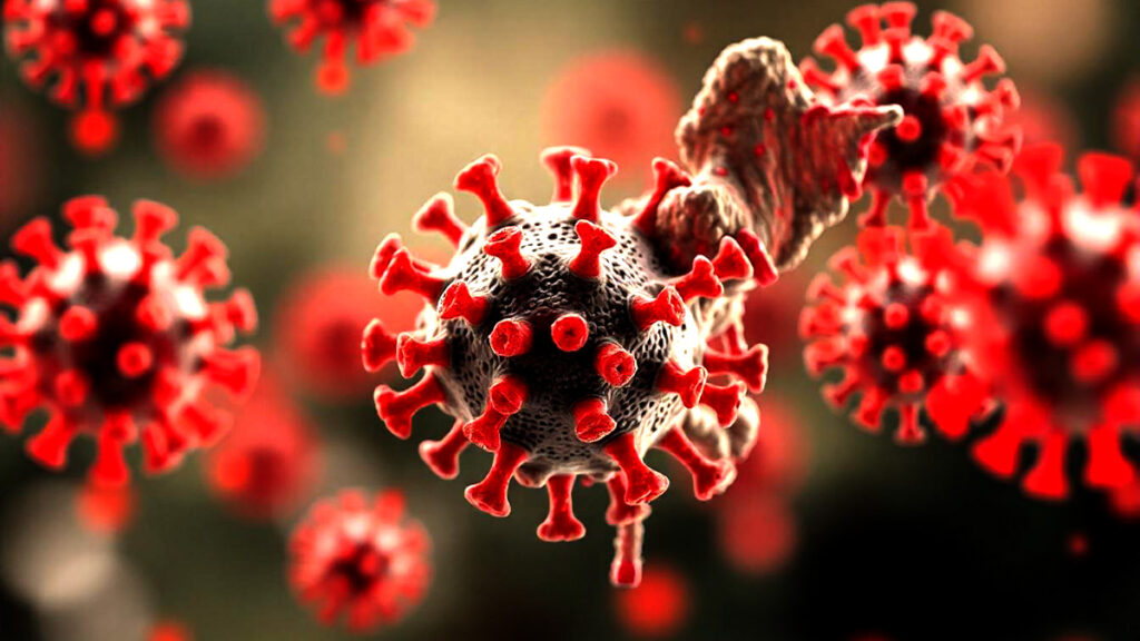 HMPV Virus HCN News